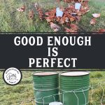 Pinterest pin for "What I Learned from Joel Salatin". Image of chickens and feed barrels.