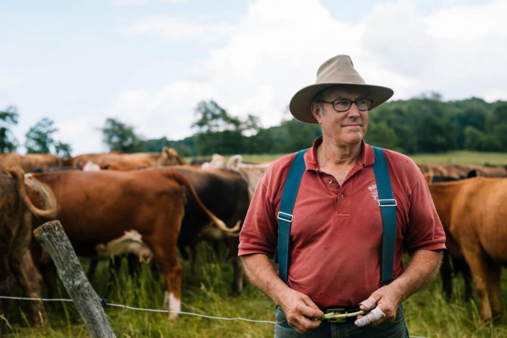 Joel Salatin standing in a field in front of numerous cows.