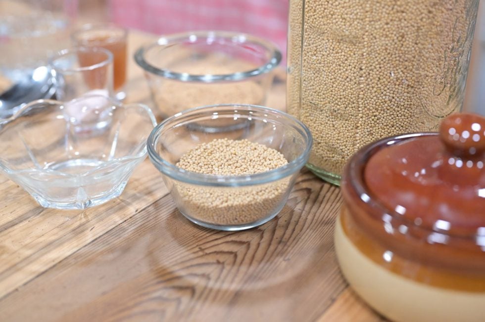 Quick & Easy Homemade Mustard — Homesteading Family