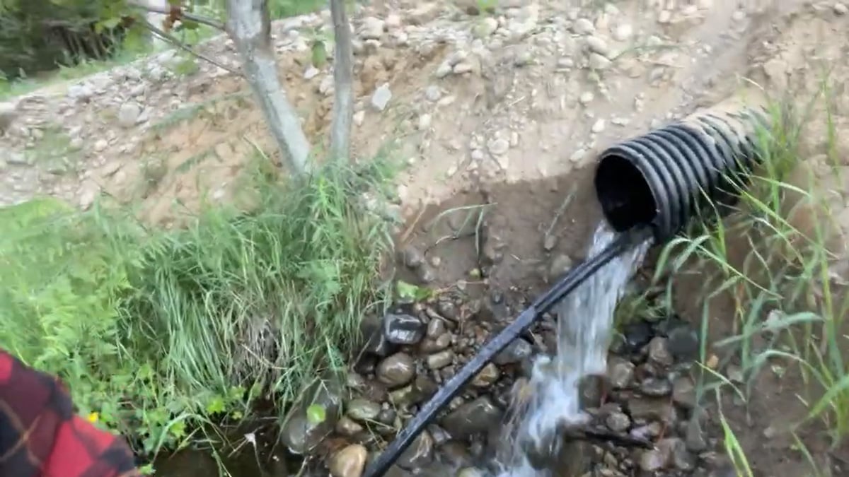 A hose tucked into a water outlet.