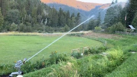 A large sprinkler watering a field and garden.