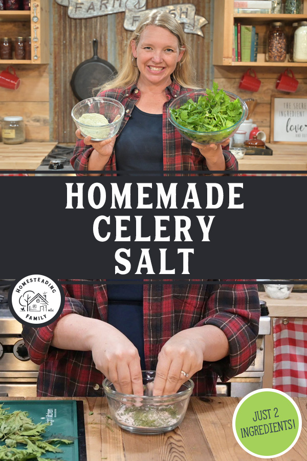 Easy Homemade Celery Salt — Homesteading Family