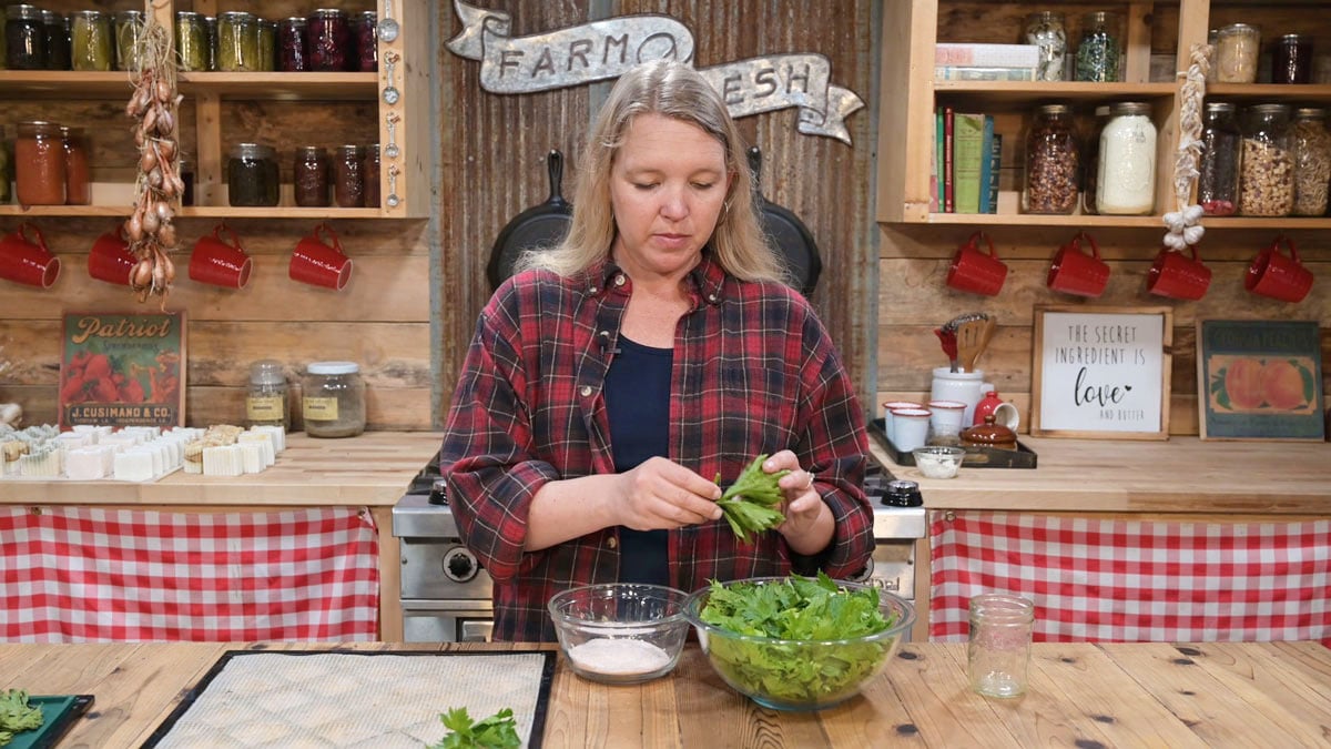 Easy Homemade Celery Salt — Homesteading Family