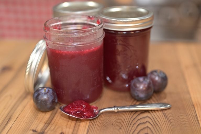Plum Jelly Recipe (+TimeSaving Trick) — Homesteading Family