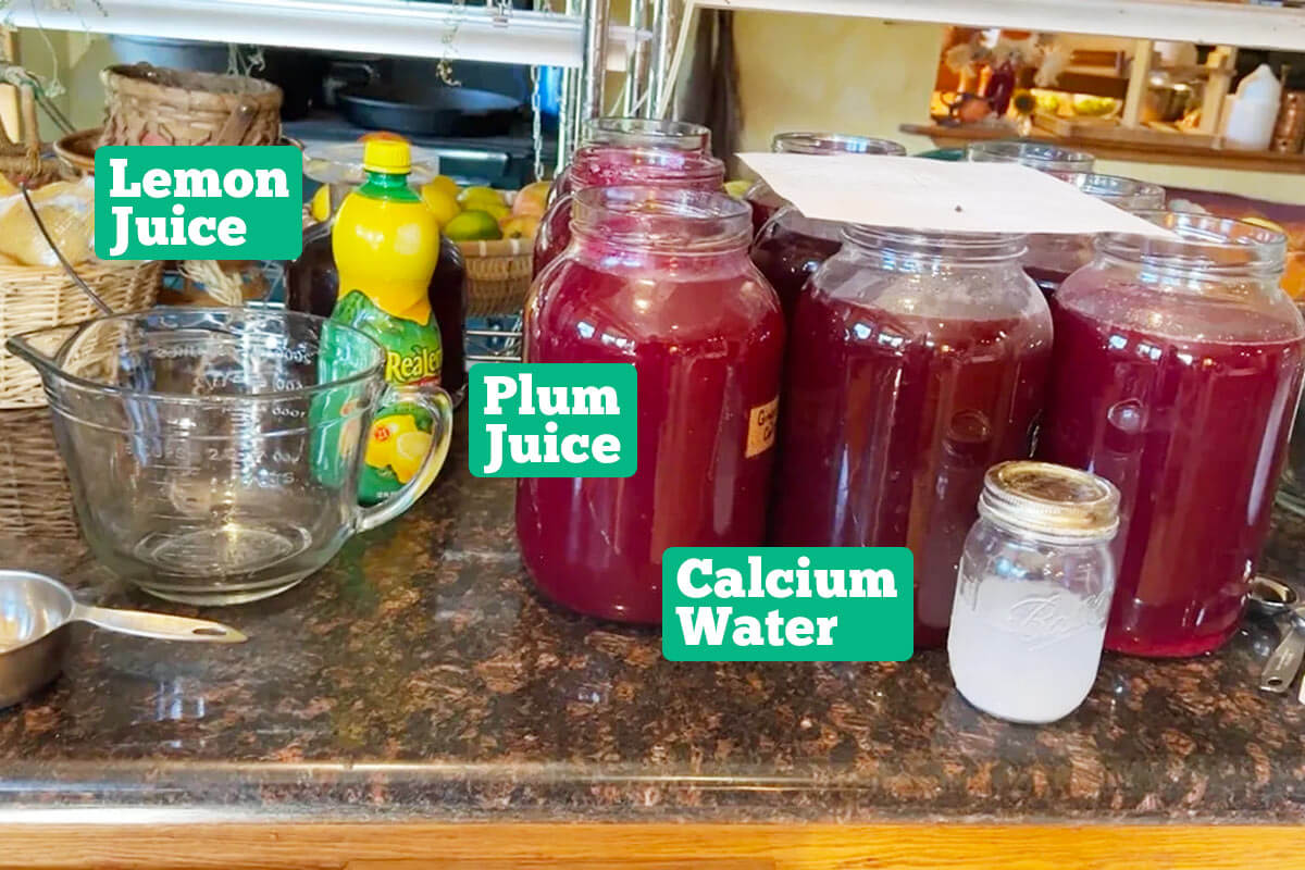 Plum jelly ingredients: lemon juice, plum juice, and calcium water.