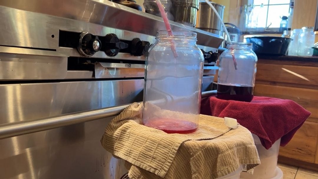Plum jelly recipe time saving trick homesteading family