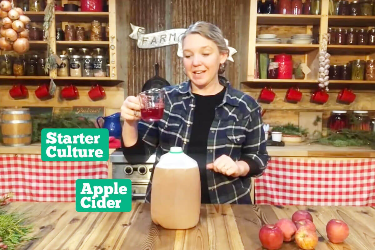 Sparkling apple cider ingredients: apple cider and kombucha.