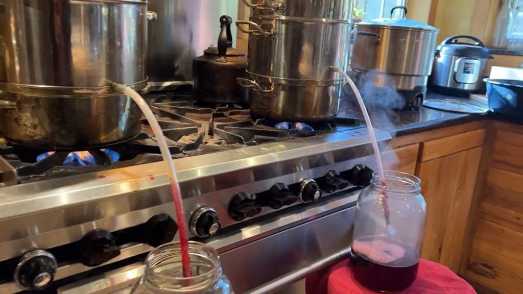 Plum juice going into jars from a steam juicer.
