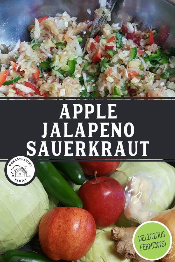 Apple Jalapeño Sauerkraut Recipe — Homesteading Family