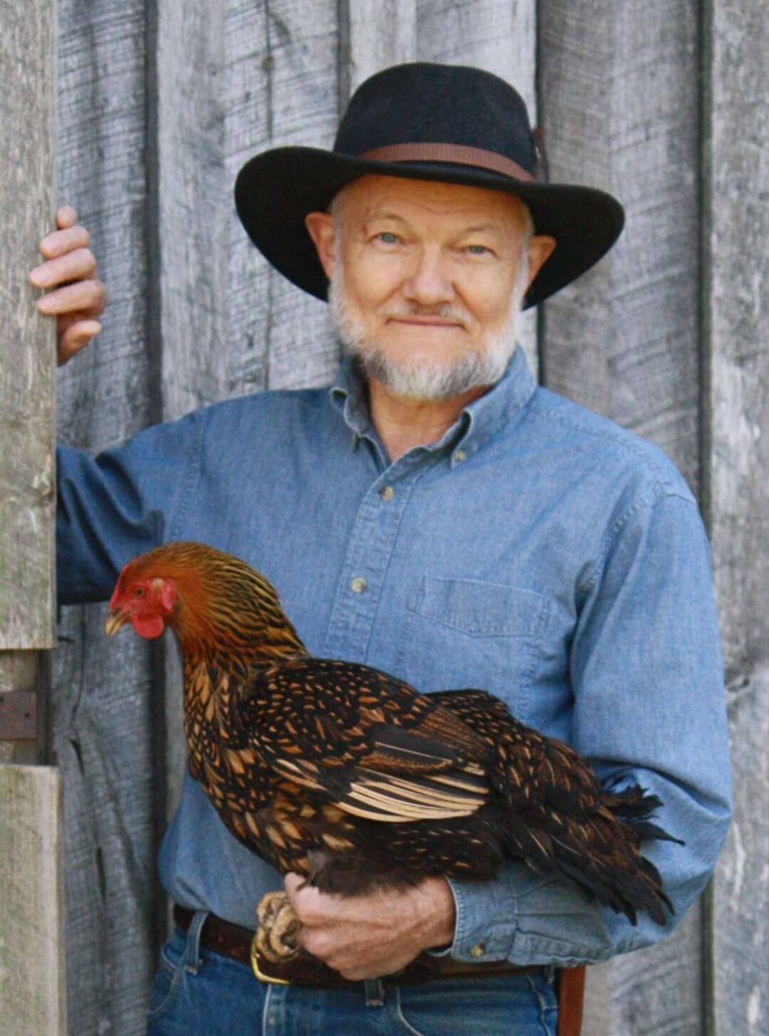 Deep Litter Method for Backyard Chickens (With or Without a Coop