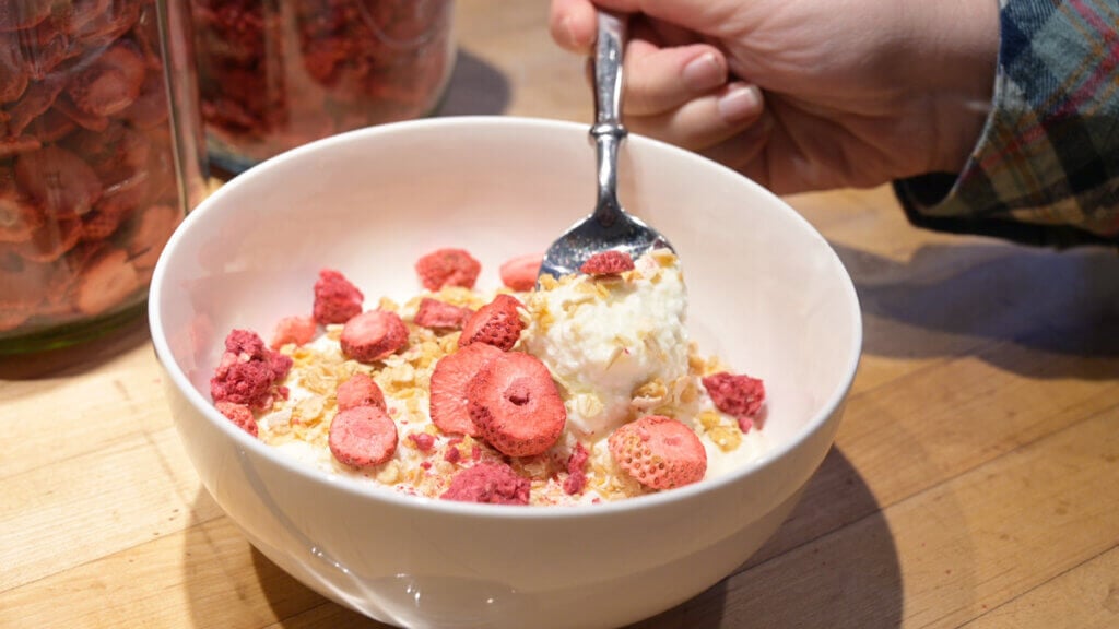 A white bowl filled with yogurt and freeze dried strawberries.