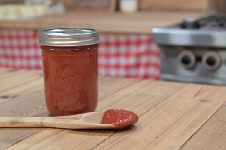 Fermented Ketchup (Easy, Homemade, Probiotic & Kids Love It