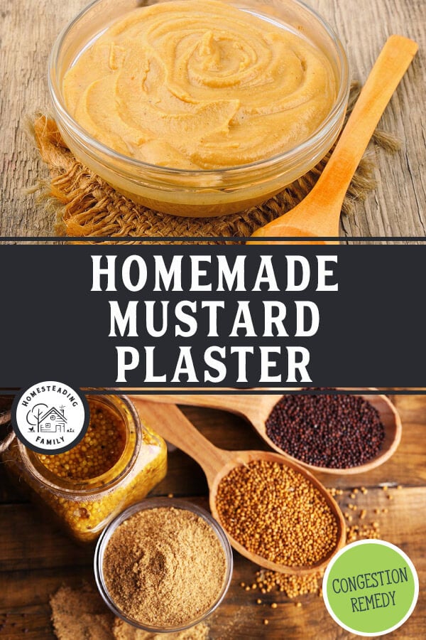 Homemade Mustard Plaster (For Chest Congestion Relief) — Homesteading