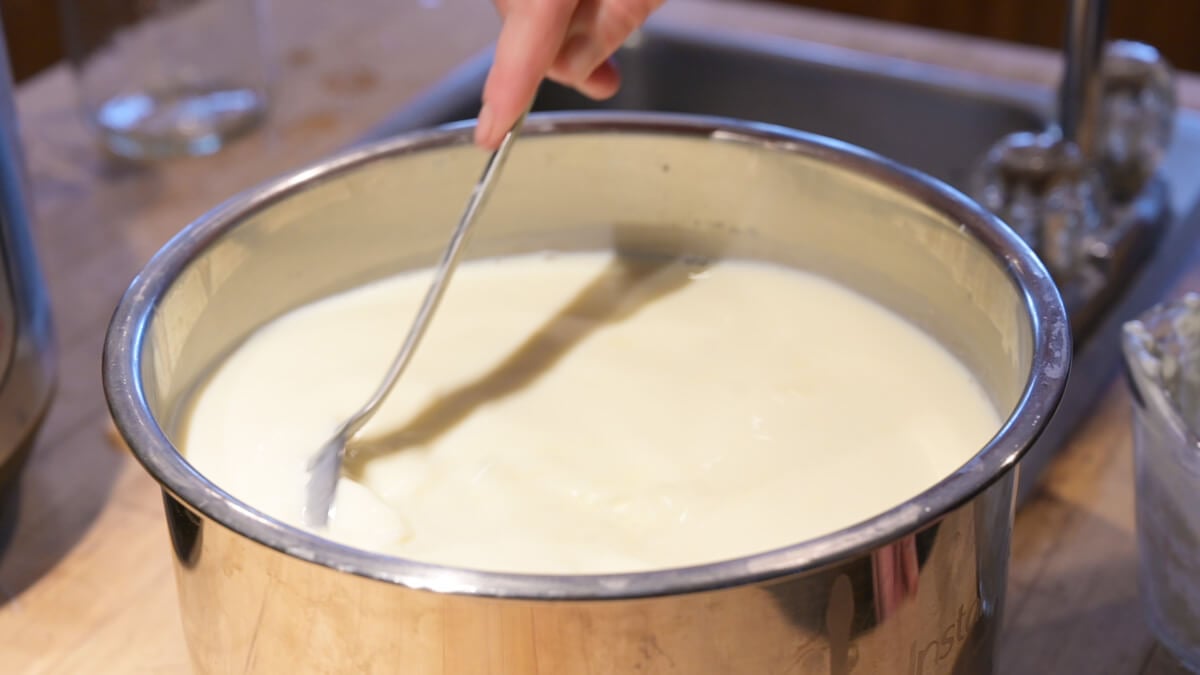 Easy Instant Pot Yogurt Recipe (StepbyStep) — Homesteading Family