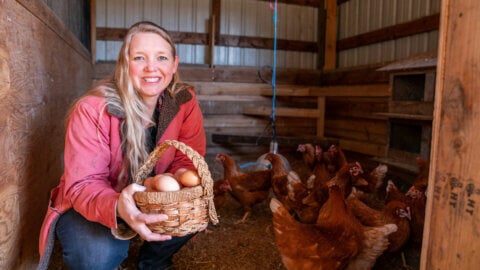 A woman crouched in a chicken coop holding a basket of eggs.