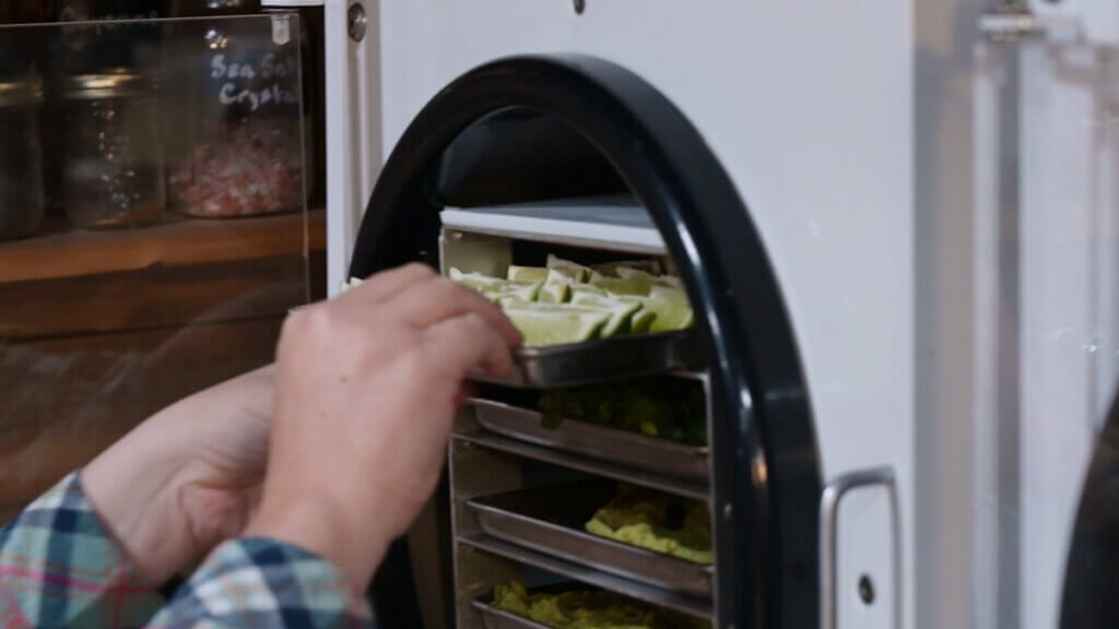 Food going into a freeze dryer.