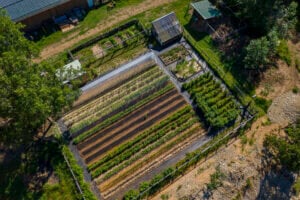 Overhead view of a garden.