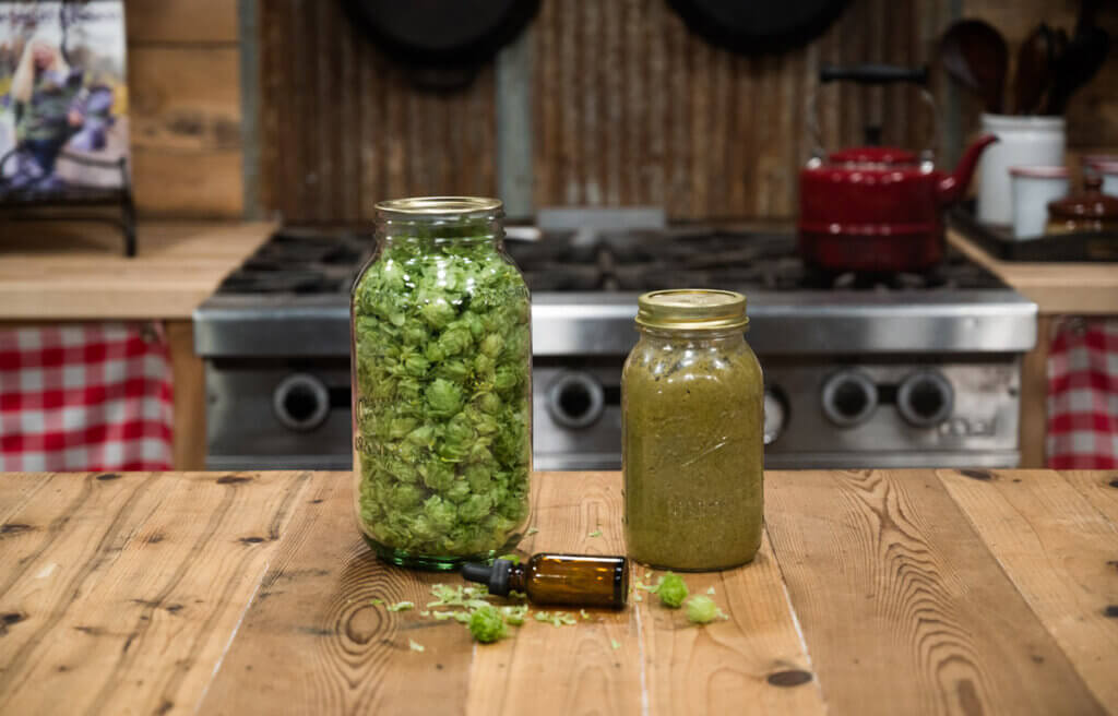 A jar of hops and a jar of hops tincture.