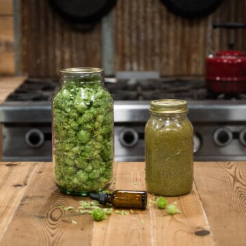 A jar of hops and a jar of hops tincture.