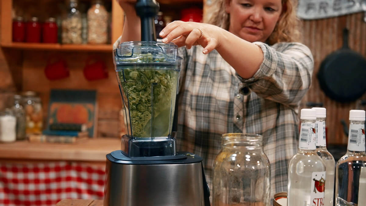 Hops being ground in a blender.