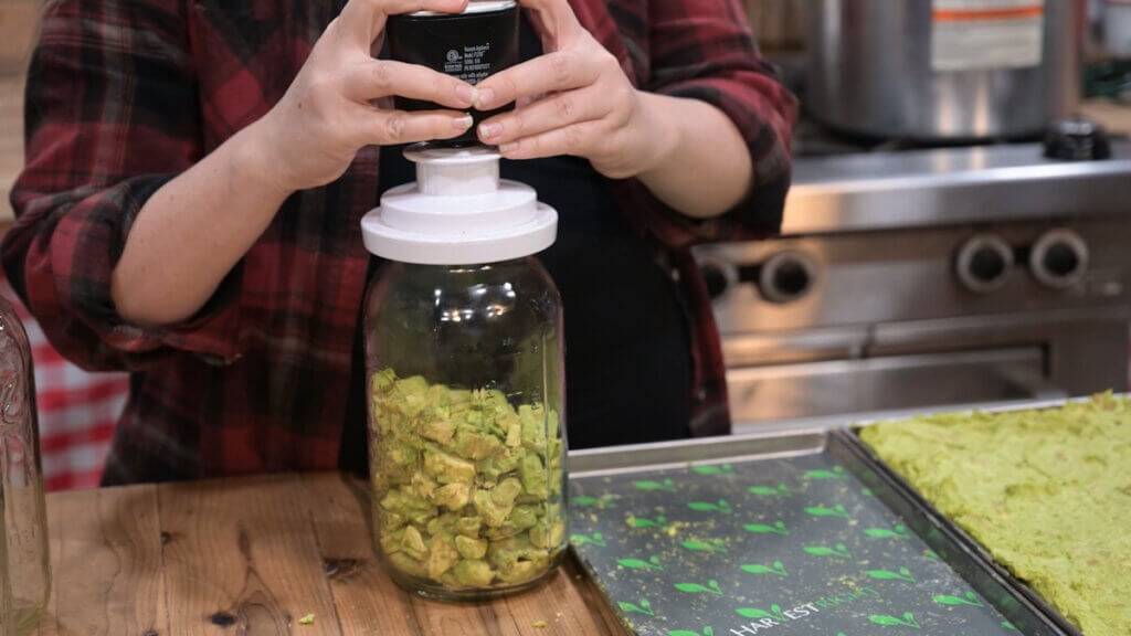 Freeze dried avocados being vacuum sealed in a jar.