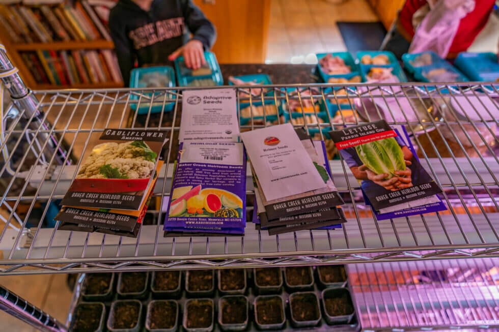 GMO Seeds: What the Home Gardener Needs to Know &mdash; Homesteading Family