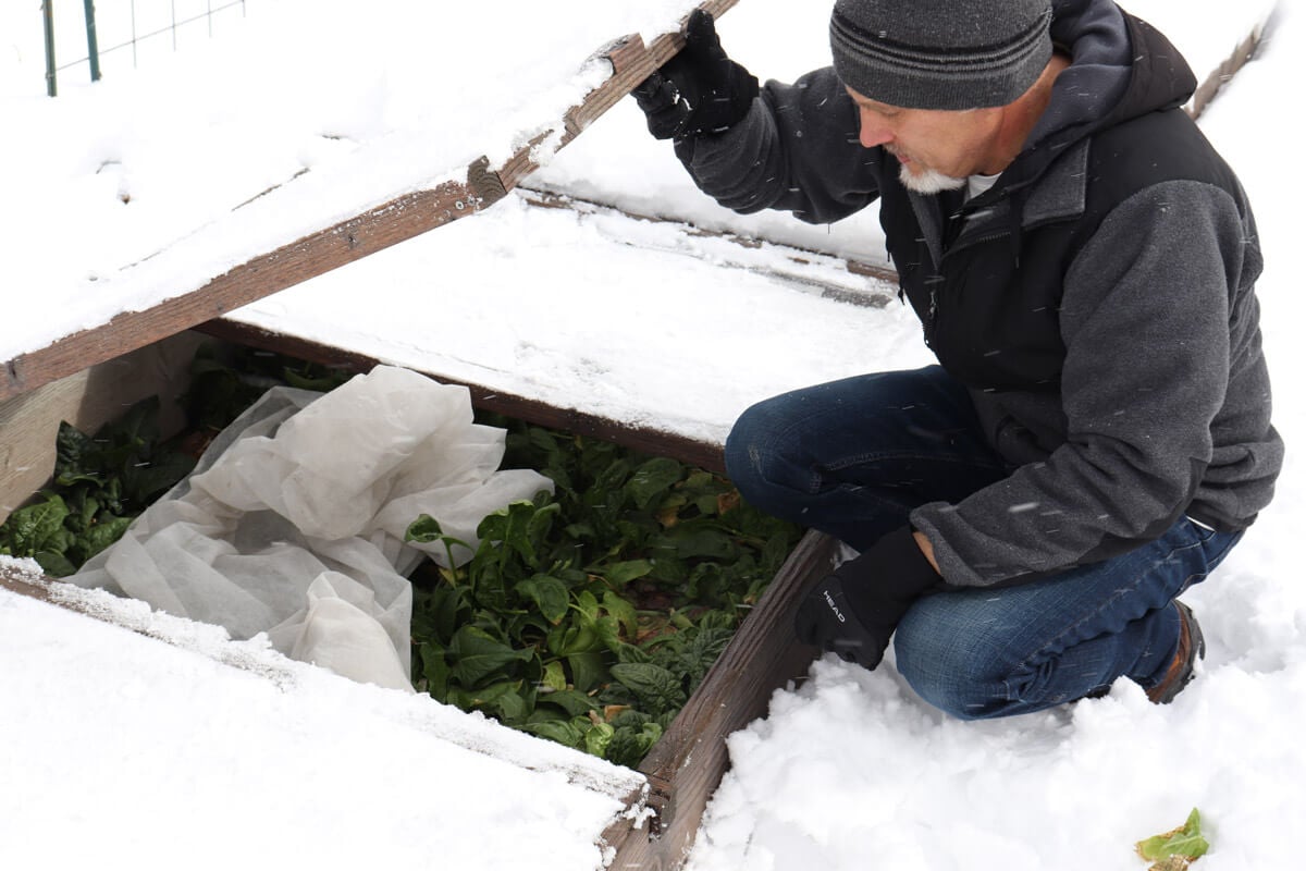 How to Heat a Greenhouse Without Electricity — Homesteading Family