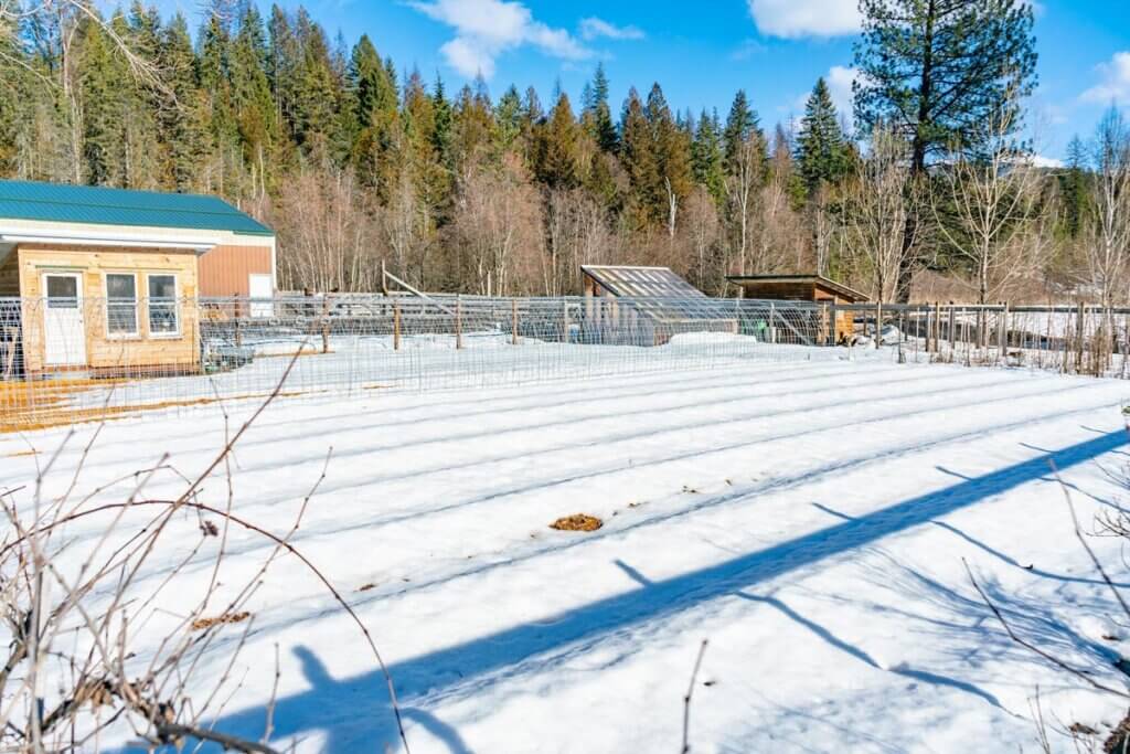 A garden covered in snow with a shed and a greenhouse in the background.