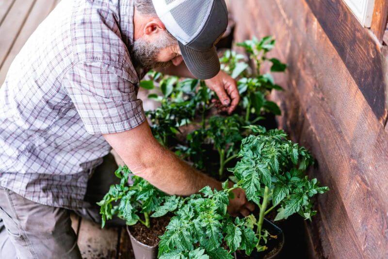 A man planting a Greenstalk Vertical planter.