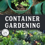 Pinterest pin for container gardening.