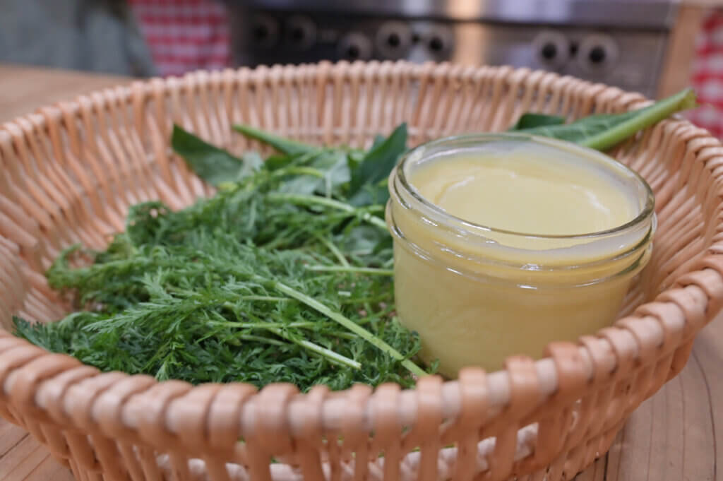 Medicinal herbs and homemade antibiotic ointment in a wicker basket.