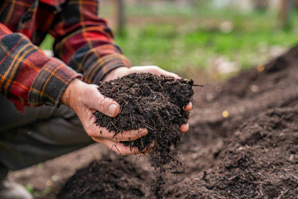 A man holding a handful of finished compost.