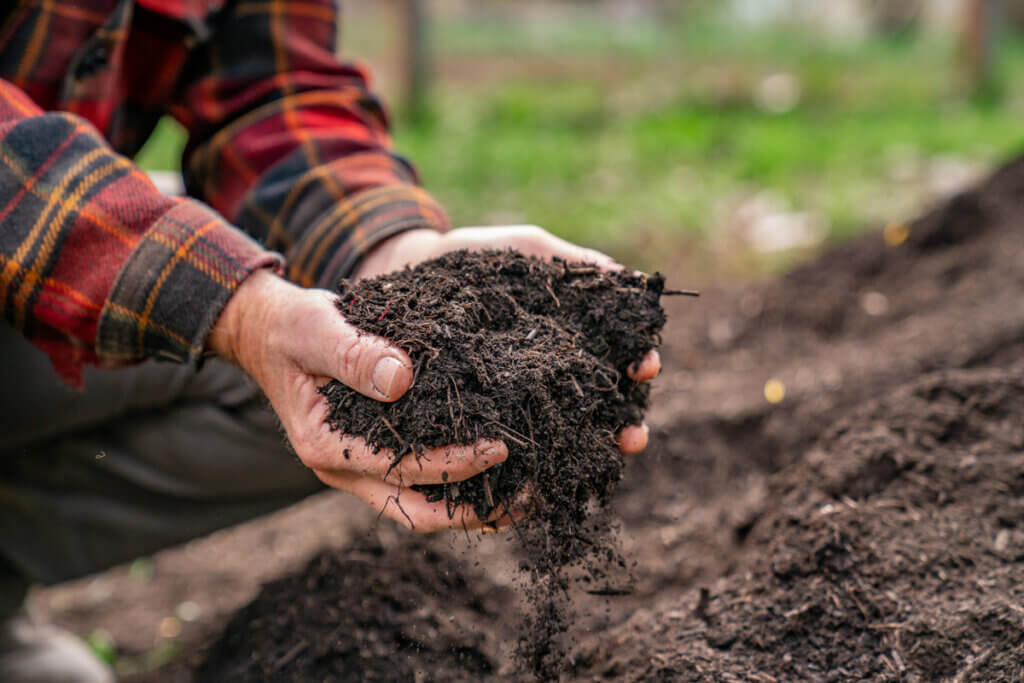 Composting 101: What, Why & How to Compost at Home ~ Homestead and Chill