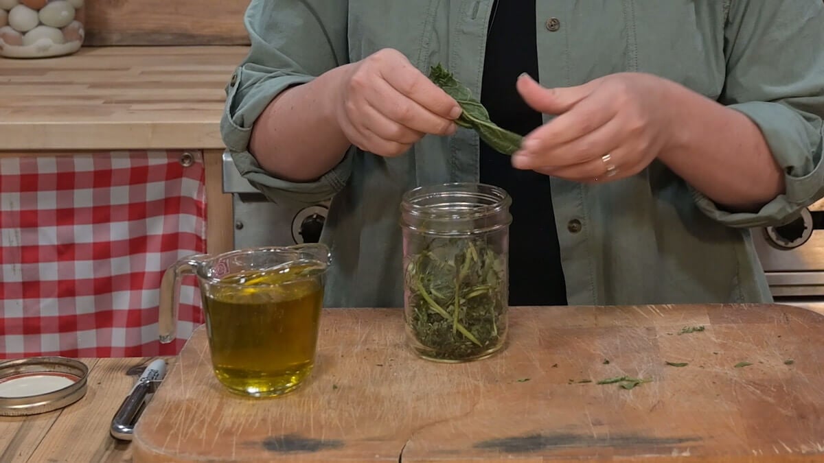 Dried herbs going into a Mason Jar.