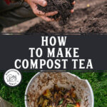 Pinterest pin for how to make compost tea.