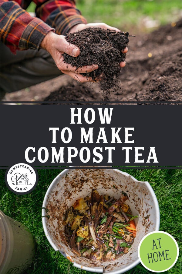 Compost Tea (Recipe, Tips & Uses) — Homesteading Family