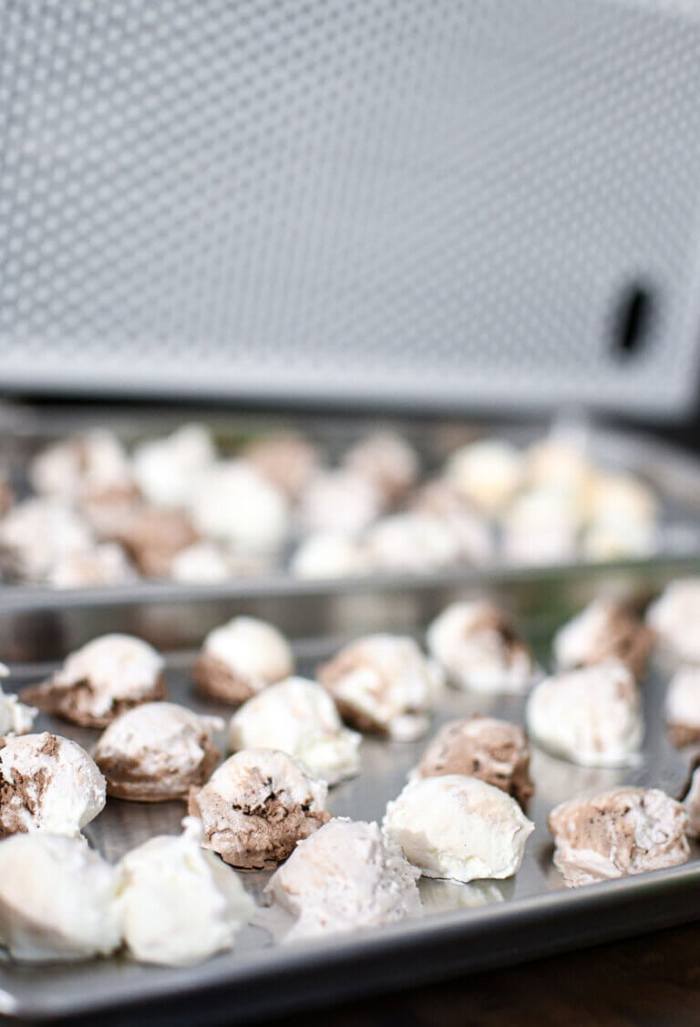 How to Freeze Dry Ice Cream — Homesteading Family