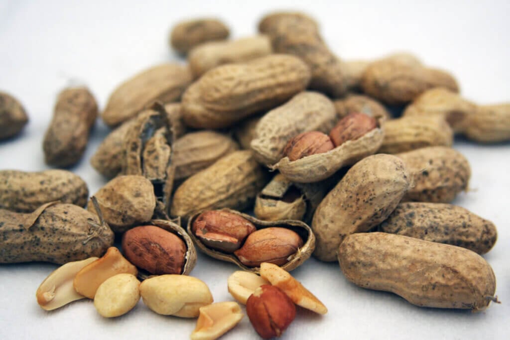 Peanuts in the shell in a pile with a white background.