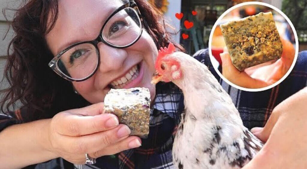 A woman feeding her chicken a suet treat.