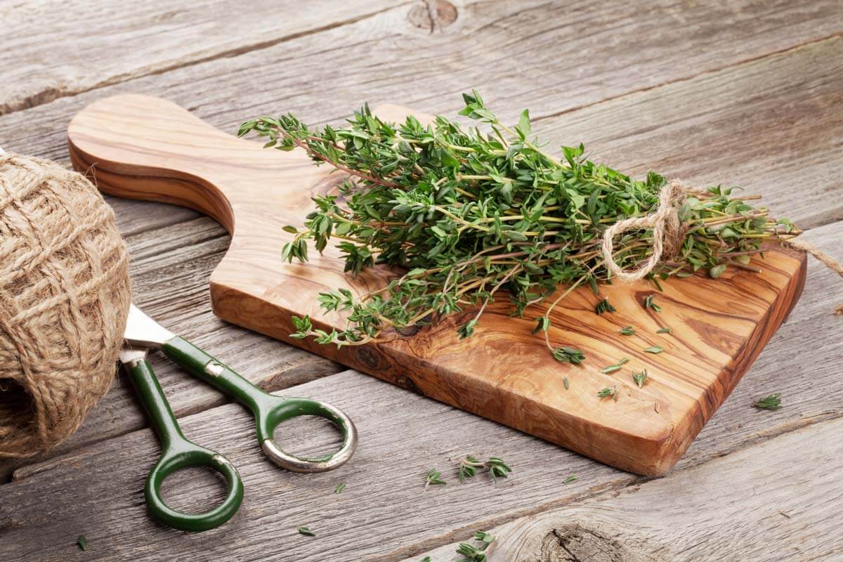 Thyme cut and bundled on a cutting board.