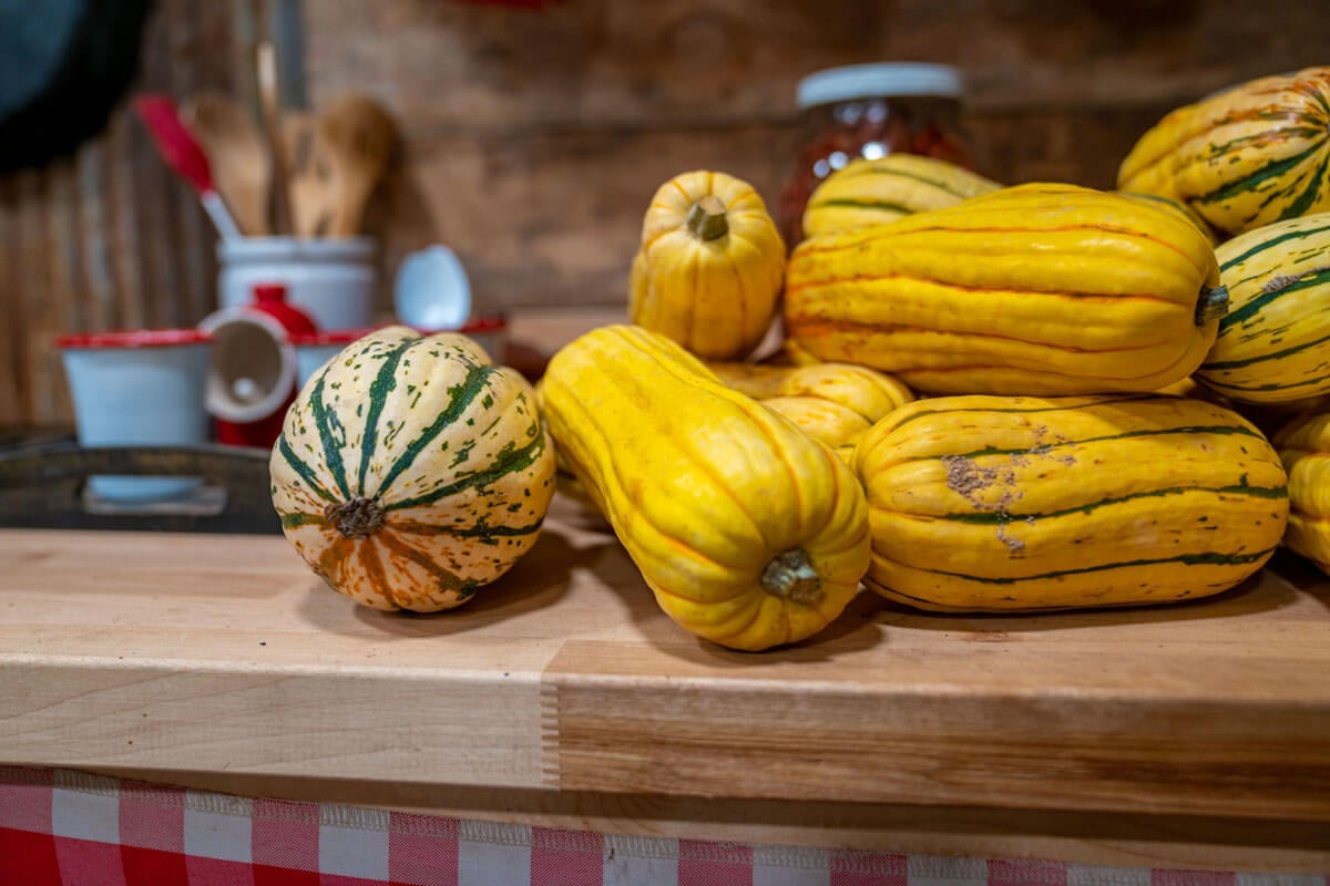 A pile of winter squashes in a kitchen.