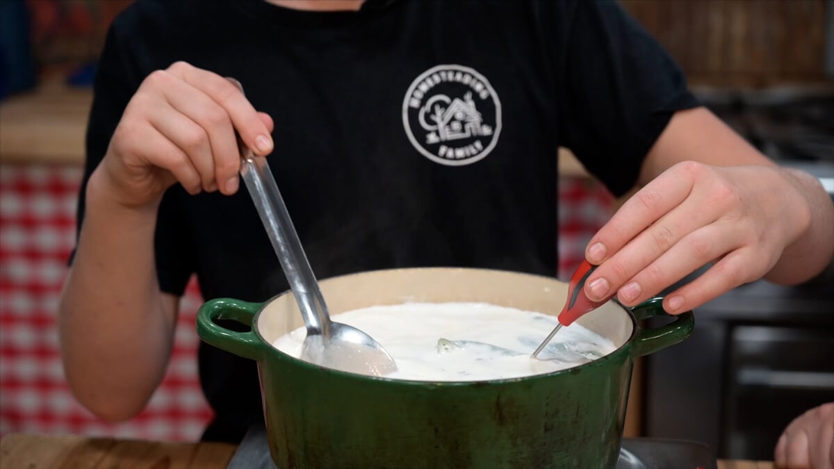 Chevre Cheese Recipe (Goat's Milk Cheese) — Homesteading Family