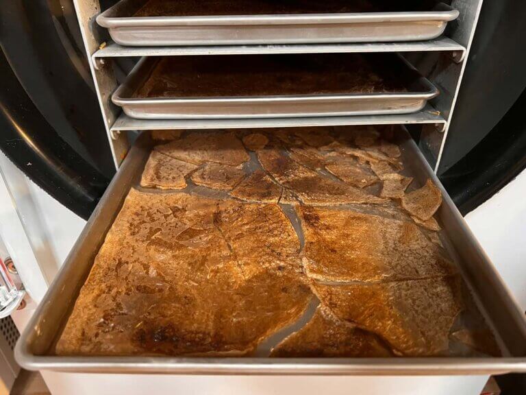 How to Make FreezeDried Coffee — Homesteading Family