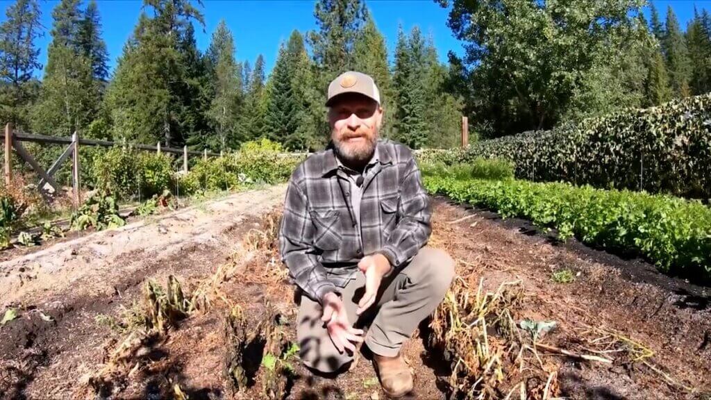 A man crouched in the garden.