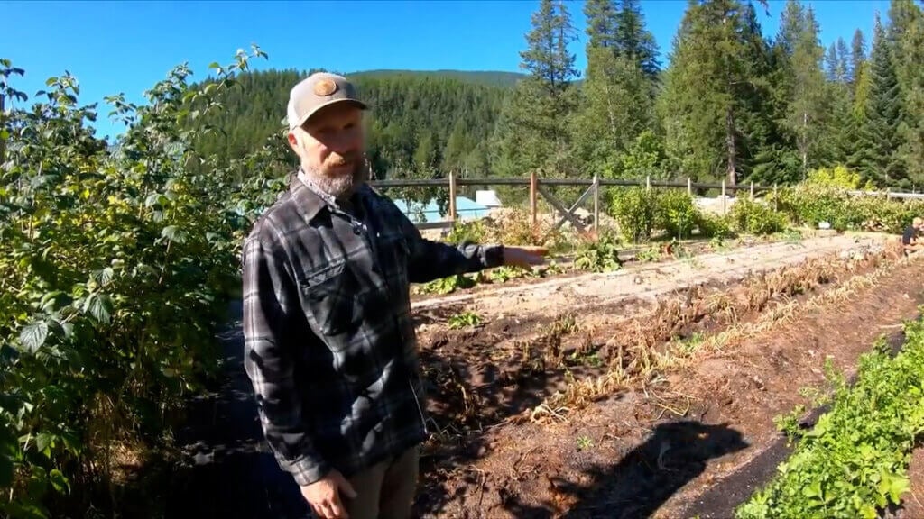 A man pointing to frozen crops in the garden.