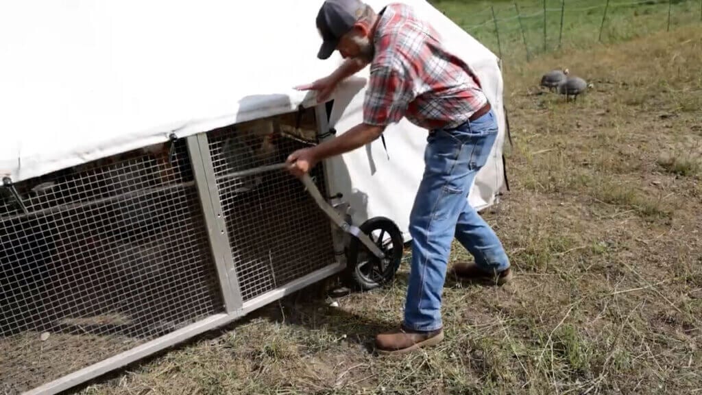 A man unlocking the wheels to move a mobile chicken coop.