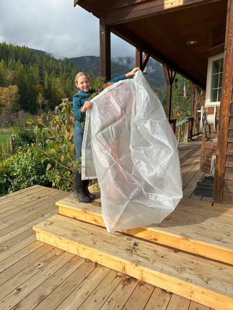 A young girl putting on a Greenstalk frost protection cover.