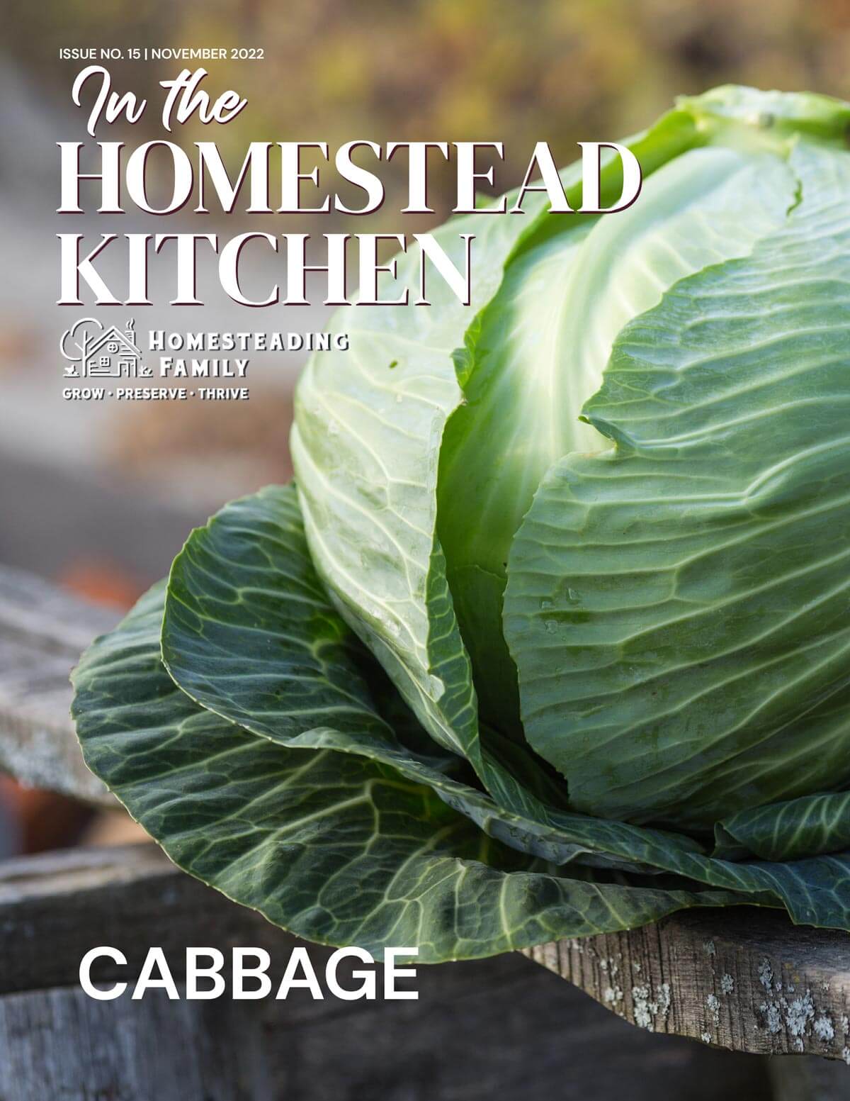 In the Homestead Kitchen Magazine cover for Cabbage issue.