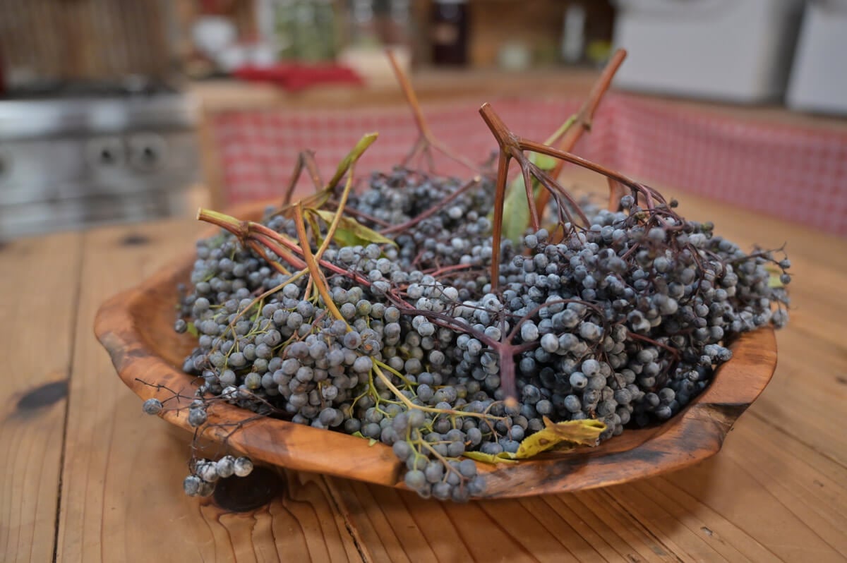 Fresh elderberries in a large wooden bowl.