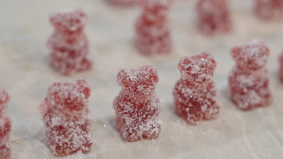 Elderberry gummy bears standing up on a parchment-lined cookie sheet.